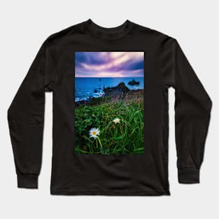 Wildflowers at Scotty's Point Long Sleeve T-Shirt